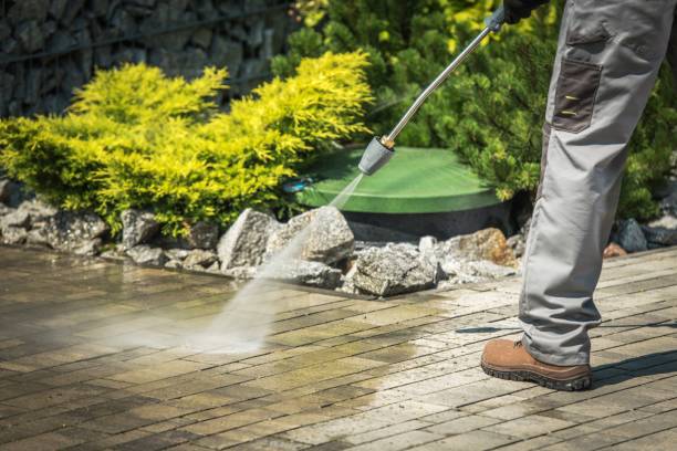 Best Oil Spill Cleanup  in Pollock Pines, CA